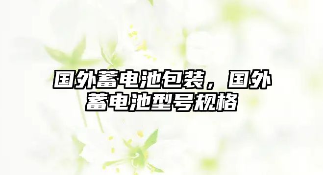 國(guó)外蓄電池包裝，國(guó)外蓄電池型號(hào)規(guī)格