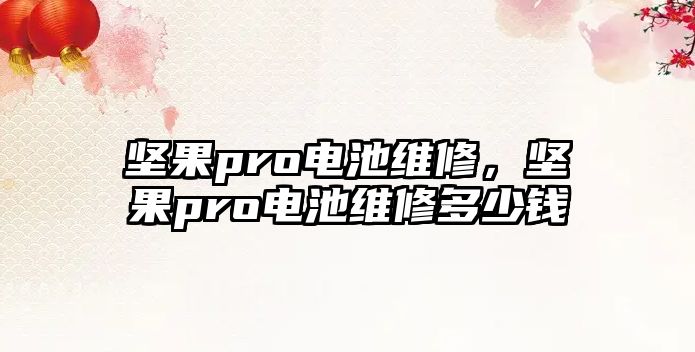 堅果pro電池維修，堅果pro電池維修多少錢