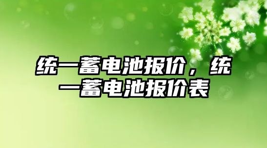 統一蓄電池報價，統一蓄電池報價表