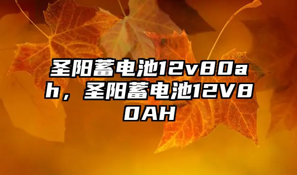 圣陽蓄電池12v80ah，圣陽蓄電池12V80AH