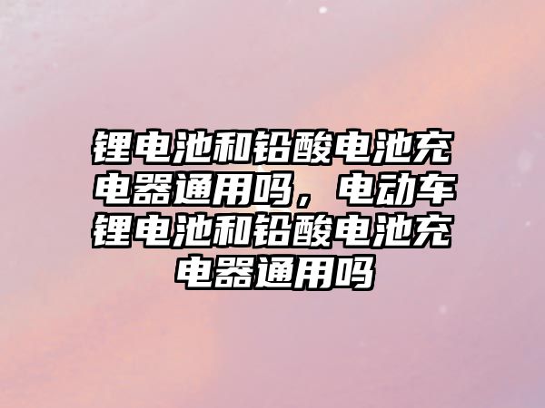 鋰電池和鉛酸電池充電器通用嗎，電動車鋰電池和鉛酸電池充電器通用嗎