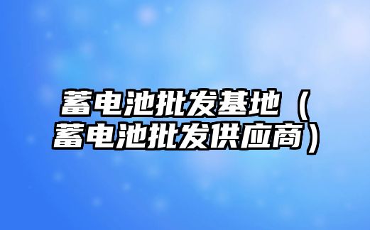 蓄電池批發基地（蓄電池批發供應商）