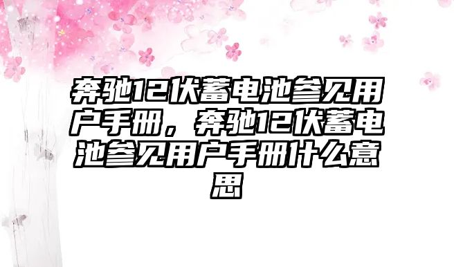 奔馳12伏蓄電池參見用戶手冊，奔馳12伏蓄電池參見用戶手冊什么意思