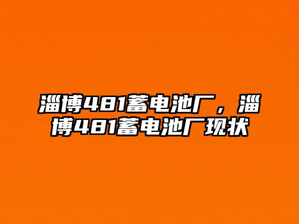 淄博481蓄電池廠，淄博481蓄電池廠現(xiàn)狀