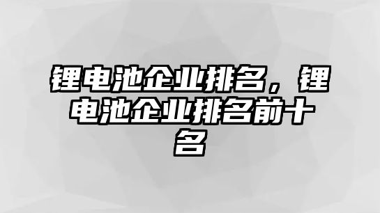 鋰電池企業(yè)排名，鋰電池企業(yè)排名前十名