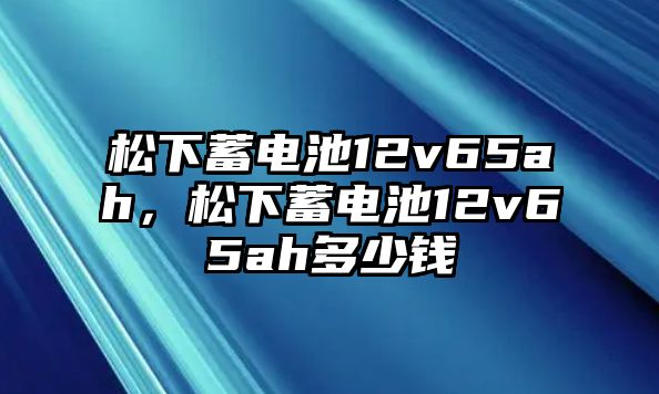 松下蓄電池12v65ah，松下蓄電池12v65ah多少錢