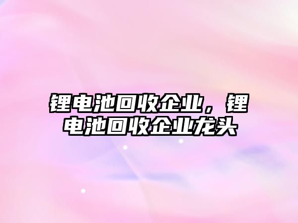 鋰電池回收企業(yè)，鋰電池回收企業(yè)龍頭