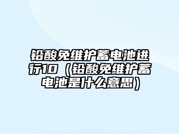 鉛酸免維護蓄電池進行10（鉛酸免維護蓄電池是什么意思）