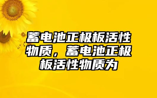 蓄電池正極板活性物質，蓄電池正極板活性物質為