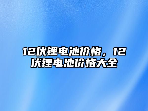 12伏鋰電池價格，12伏鋰電池價格大全