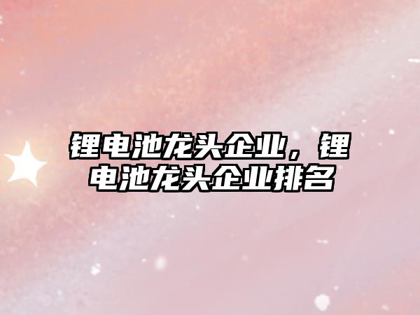 鋰電池龍頭企業，鋰電池龍頭企業排名