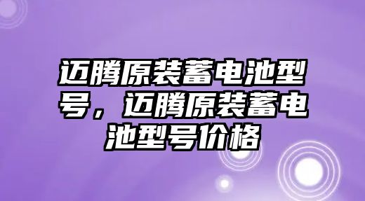 邁騰原裝蓄電池型號，邁騰原裝蓄電池型號價格