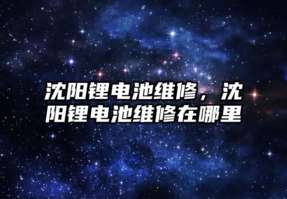 沈陽鋰電池維修，沈陽鋰電池維修在哪里