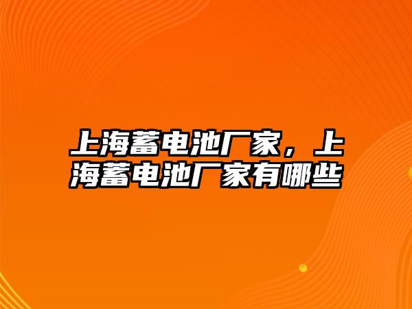 上海蓄電池廠家，上海蓄電池廠家有哪些