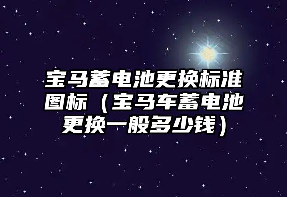 寶馬蓄電池更換標準圖標（寶馬車蓄電池更換一般多少錢）