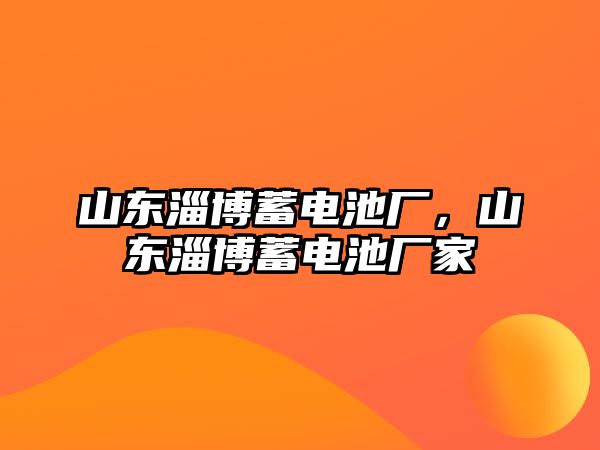 山東淄博蓄電池廠，山東淄博蓄電池廠家