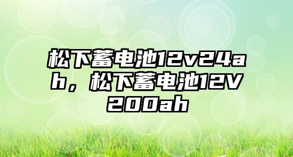 松下蓄電池12v24ah，松下蓄電池12V200ah