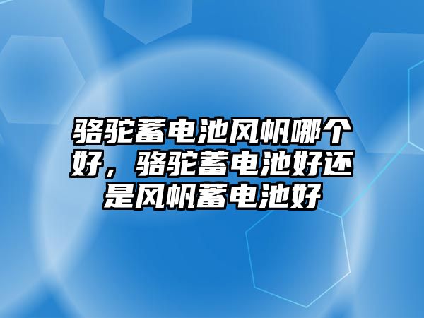 駱駝蓄電池風帆哪個好，駱駝蓄電池好還是風帆蓄電池好