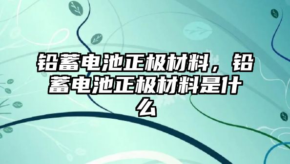 鉛蓄電池正極材料，鉛蓄電池正極材料是什么