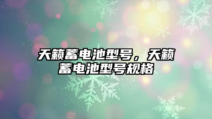 天籟蓄電池型號，天籟蓄電池型號規格