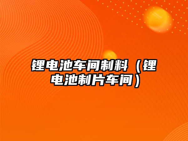 鋰電池車間制料（鋰電池制片車間）