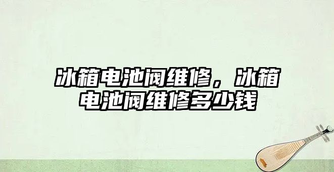 冰箱電池閥維修，冰箱電池閥維修多少錢