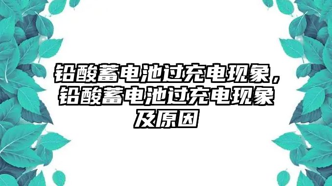 鉛酸蓄電池過充電現象，鉛酸蓄電池過充電現象及原因