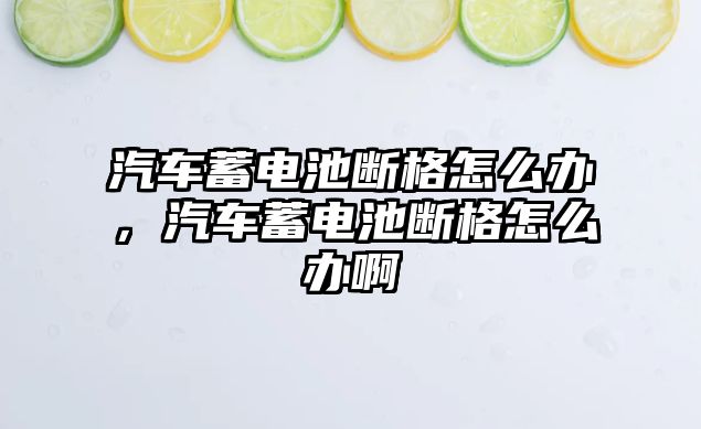 汽車蓄電池斷格怎么辦，汽車蓄電池斷格怎么辦啊