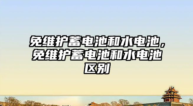 免維護蓄電池和水電池，免維護蓄電池和水電池區別