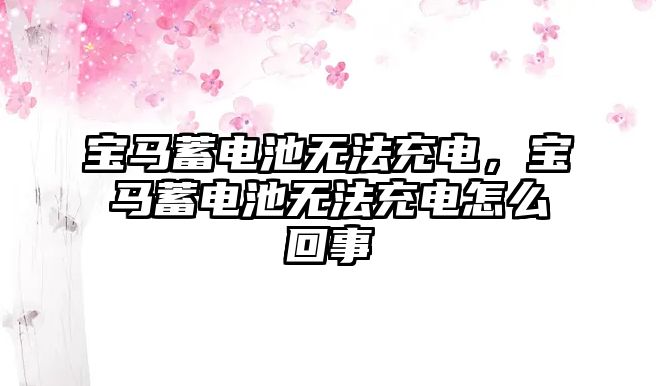 寶馬蓄電池?zé)o法充電，寶馬蓄電池?zé)o法充電怎么回事