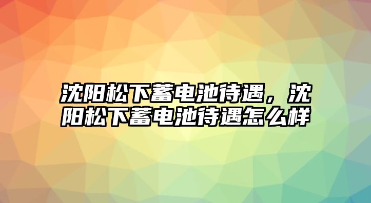 沈陽松下蓄電池待遇，沈陽松下蓄電池待遇怎么樣