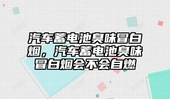 汽車蓄電池臭味冒白煙，汽車蓄電池臭味冒白煙會不會自燃