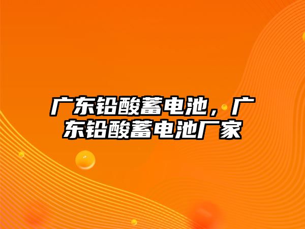 廣東鉛酸蓄電池，廣東鉛酸蓄電池廠家