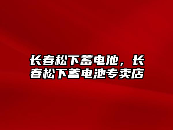 長春松下蓄電池，長春松下蓄電池專賣店