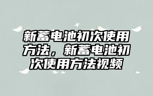 新蓄電池初次使用方法，新蓄電池初次使用方法視頻