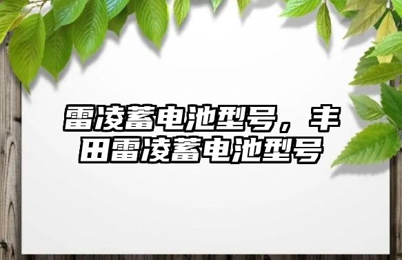 雷凌蓄電池型號，豐田雷凌蓄電池型號