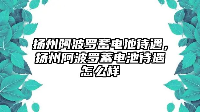 揚州阿波羅蓄電池待遇，揚州阿波羅蓄電池待遇怎么樣