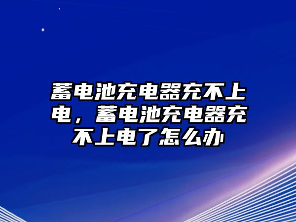 蓄電池充電器充不上電，蓄電池充電器充不上電了怎么辦