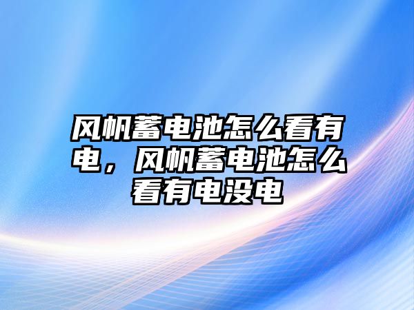 風帆蓄電池怎么看有電，風帆蓄電池怎么看有電沒電