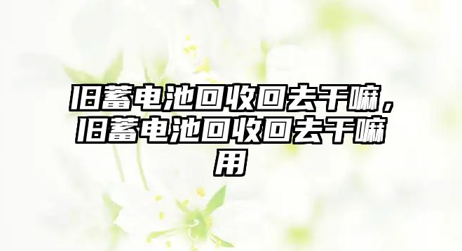 舊蓄電池回收回去干嘛，舊蓄電池回收回去干嘛用