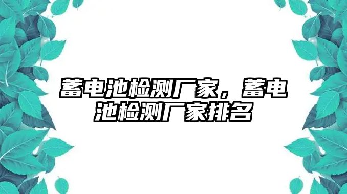 蓄電池檢測廠家，蓄電池檢測廠家排名