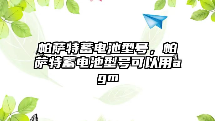 帕薩特蓄電池型號，帕薩特蓄電池型號可以用agm