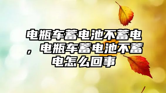 電瓶車蓄電池不蓄電，電瓶車蓄電池不蓄電怎么回事