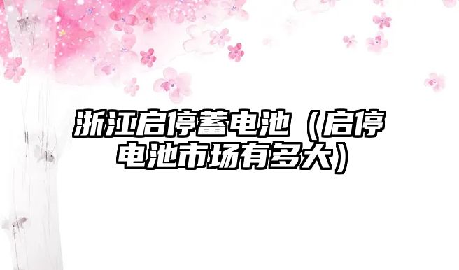 浙江啟停蓄電池（啟停電池市場有多大）