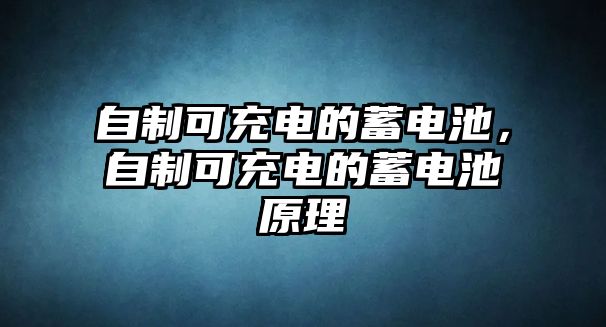 自制可充電的蓄電池，自制可充電的蓄電池原理