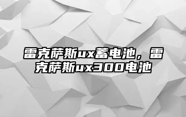 雷克薩斯ux蓄電池，雷克薩斯ux300電池