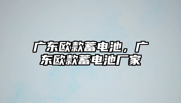 廣東歐款蓄電池，廣東歐款蓄電池廠家