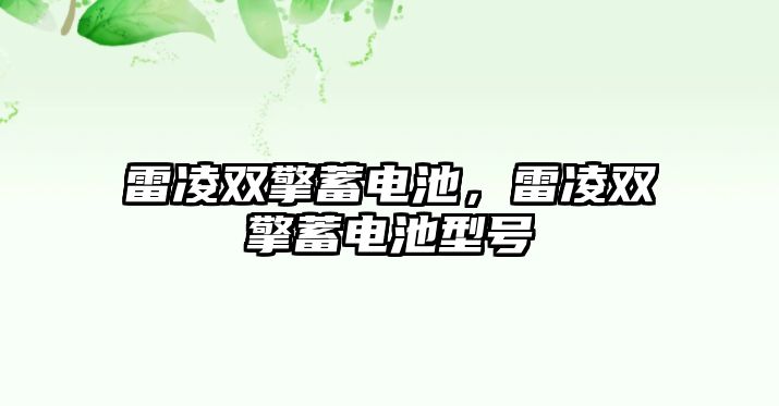 雷凌雙擎蓄電池，雷凌雙擎蓄電池型號