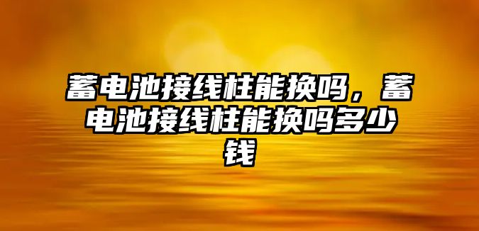 蓄電池接線柱能換嗎，蓄電池接線柱能換嗎多少錢