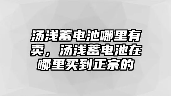 湯淺蓄電池哪里有賣(mài)，湯淺蓄電池在哪里買(mǎi)到正宗的